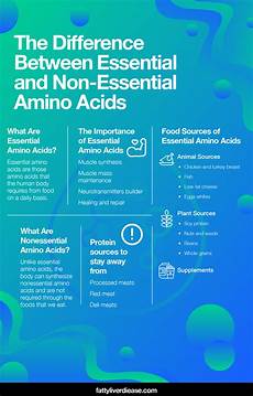 Amino Acid In Pulses