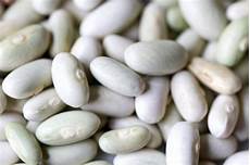Beans And Legumes Protein