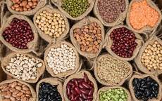 Beans And Legumes