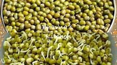 Beans Lentils Legumes