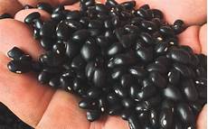 Black Beans Legumes