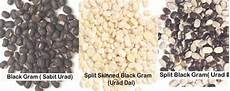 Black Gram Beans