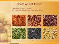 Carbohydrates In Pulses