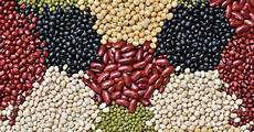 Carbs In Legumes