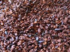 Cocoa Beans Seller