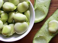 Fava Beans Legumes