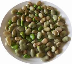 Fava Beans Legumes