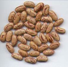 Fave Beans