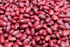 Kidney Bean Seed