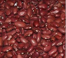 Kidney Bean Seed