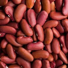 Kidney Beans Legumes