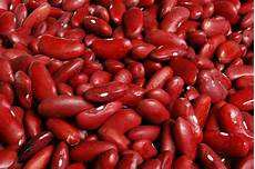 Kidney Beans Pulses