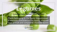 Legume Seeds List