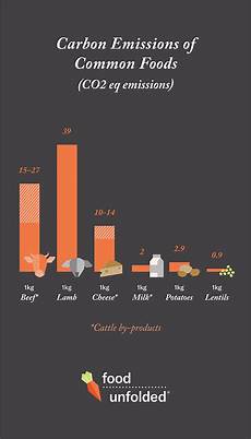 Most Protein Rich Pulses