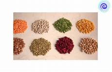 Pulses Food Examples