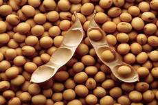 Soybean Feed