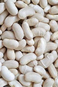 White Legume Bean