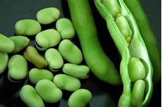 Braod Beans