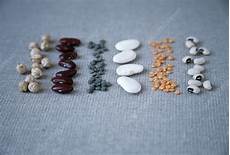 Chickpea Pulses English