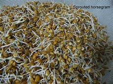 Germinated Pulses