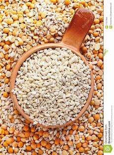 Germinated Pulses