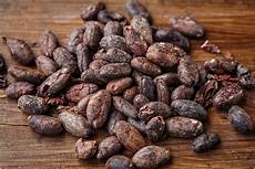 Gourmet Cocoa Beans