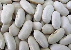 Horoz Bean