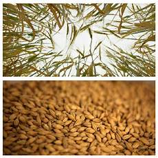 Kharif Pulses List