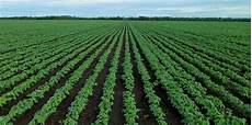 Kharif Pulses List