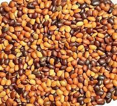 Kulthi Dal Protein