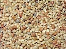 Kulthi Dal Protein