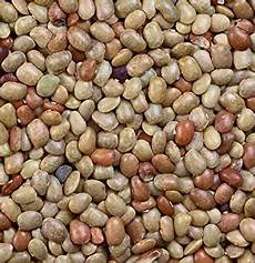 Kulthi Dal Protein