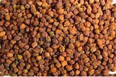 Kulthi Lentils