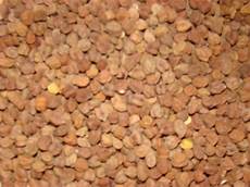 Kulthi Pulses