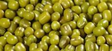 Kulthi Pulses