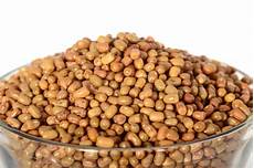 Moth Beans Protein