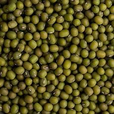 Mung Bean