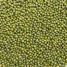 Mung Bean