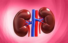 Pulses For Kidney Patients