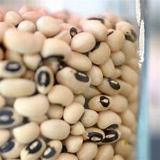 Pulses Have Carbohydrates