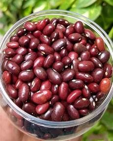 Rajma Pulses