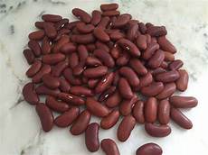 Rajma Pulses
