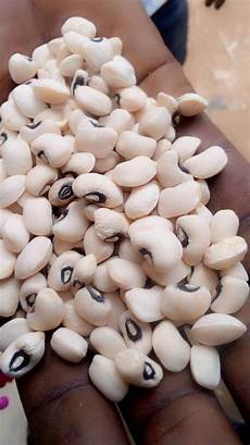 White Beans Dermason