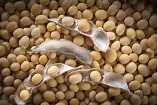 Whole Fat Soybean