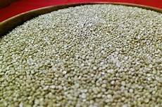 Whole Grain Pulses